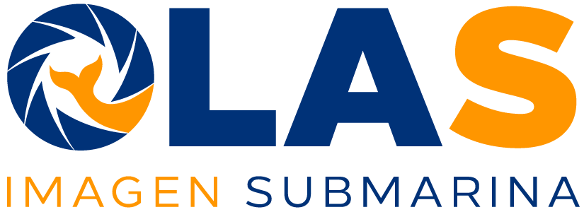 OLASTORE