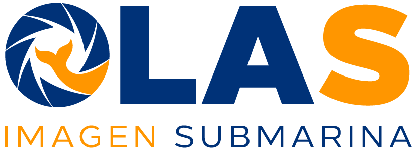OLASTORE