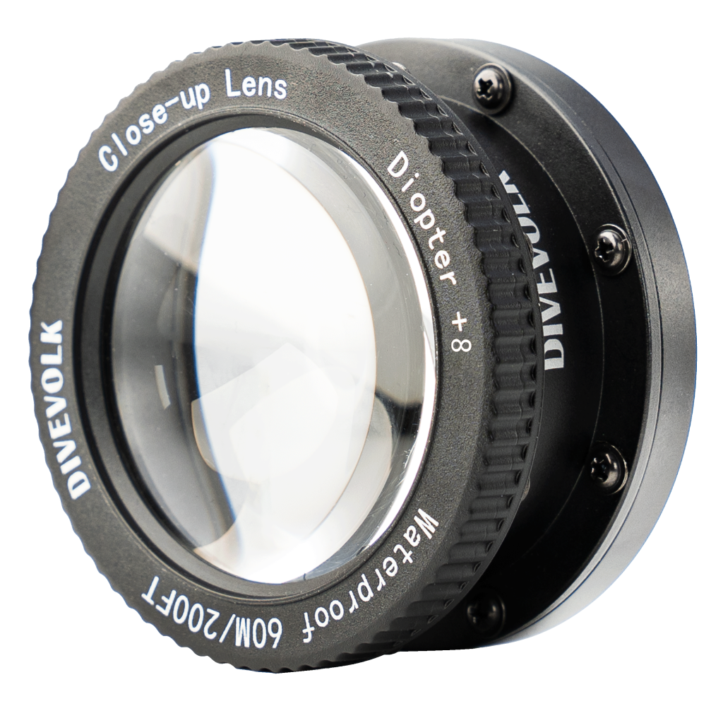 Lente super macro x8