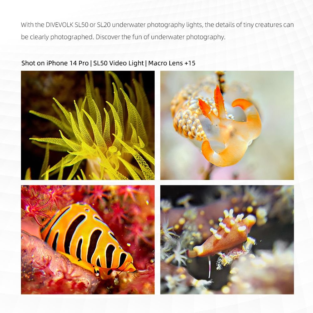 Lente super macro x8 - Imagen 2