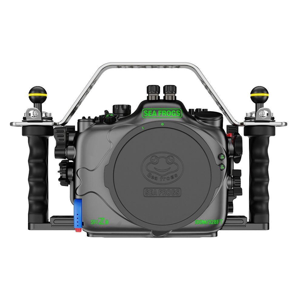 Nikon Z8 / Sea Frogs