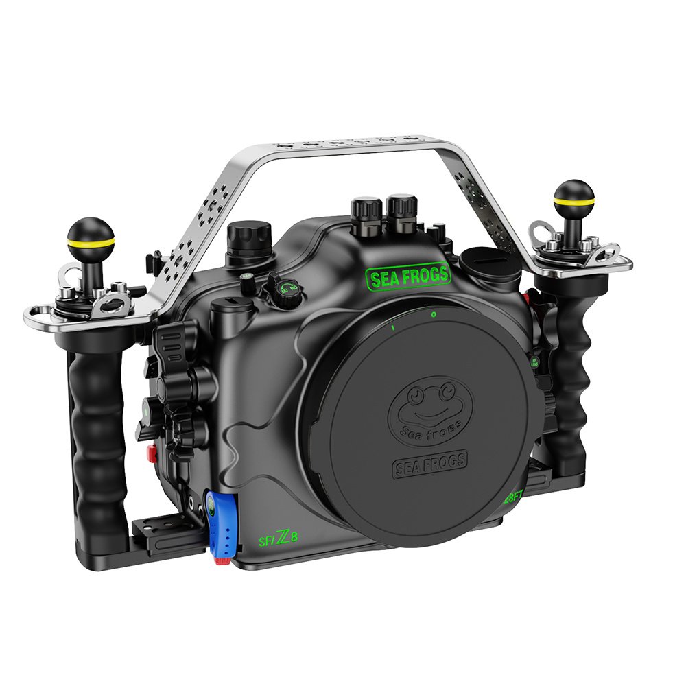 Nikon Z8 / Sea Frogs - Imagen 5