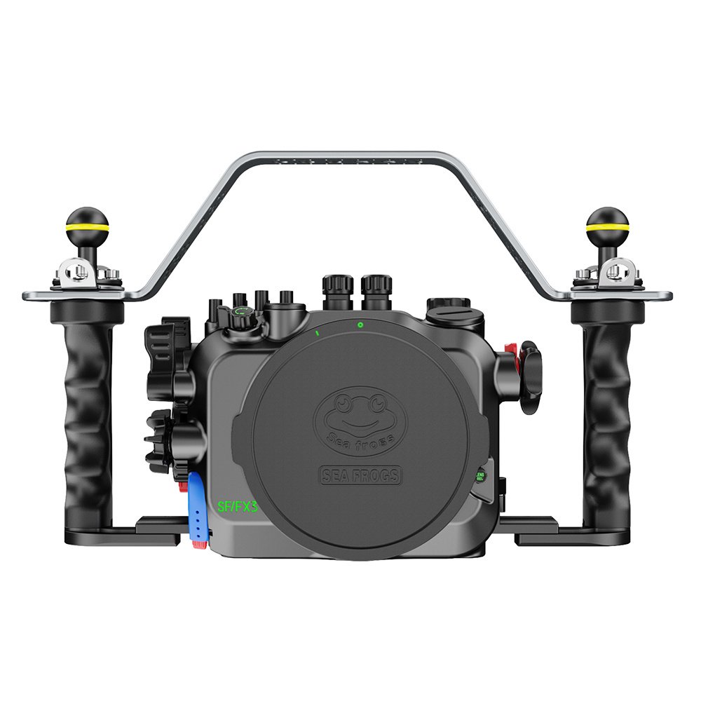 Sony FX3/FX30 / Sea Frogs